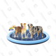 Dog Splash Pad | $15